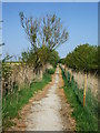 Track from Huttoft Bank Pit