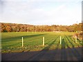 Sports grounds on West Montrose Street, Helensburgh