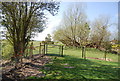 Gate on the Saxon Shore Way