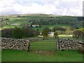 Farm gate west of High Hotts