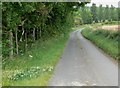 Woodfold Lane north of Brentingby