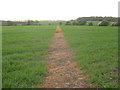 Footpath towards Quarrington Lane