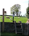 Footpath at Howgrave