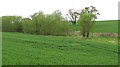 Arable land, Sutton Court