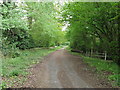 Boundary wall in Warnham Park