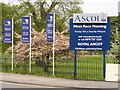 Ascot - Coming Soon