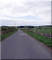 The road to Carron Bridge at Milton Bog