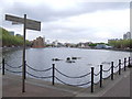 Greenland Dock