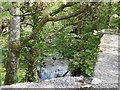 The view downstream from Sticklepath Bridge on the river Taw