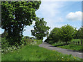 Haydon Lane, just outside Taunton