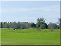 2010 : View of Bowood Park Golf Course