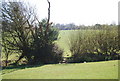 Stile through a hedge enroute to Pett