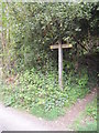 Footpath junction in Sandy Lane