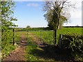 Derryhooly Townland