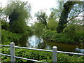 River Idle at Bolham