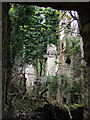 Ruined mansion, Llanstinan, interior (1)