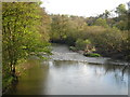 The River Tamar below Greystone Bridge