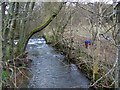 Coupar Burn near Woodside