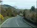 SC2778 : Bends on the A3 by Chris Gunns
