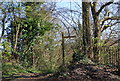 1066 Country Walk sign, Pett Rd, Friar