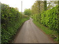 Bridleway from Woodsden Farm