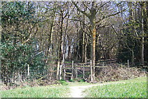 TQ8512 : Stile into the woods near Fairlight Hall by N Chadwick