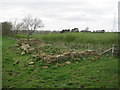 NZ0168 : Ruined Field Barn near Shildon by Les Hull