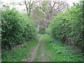 West Sussex Literary Trail in Rowlands Wood