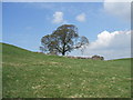 Ruin on Castlehowe