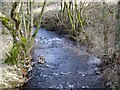 Lornty Burn, West Gormack