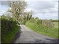 N9455 : Country Road, Co Meath by C O'Flanagan