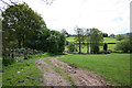 Footpath from Old Lane to Stoney Road