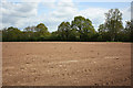 Earth, trees and sky