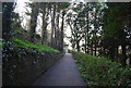 Path, Alexandra Park