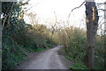 Track in Alexandra Park