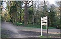 Old Roar Gill & Coronation Wood