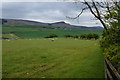 Looking across Tarn Moor towards Embsay Crag