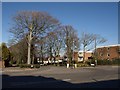 Carbery Avenue, West Southbourne