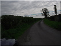O0247 : Country Road, Co Meath by C O'Flanagan