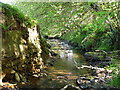 The view downstream from the first bridge on the River Yeo