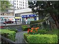 Garden on corner of Sussex Gardens with Edgware Road