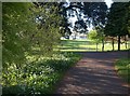 Path by Torre Abbey