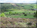 Across Bradfield Dale