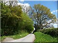 Up the lane to Sweeney Mountain