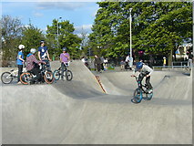 NT2272 : Saughton Skatepark BMXers by kim traynor