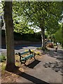 Seat, Falkland Road, Torquay