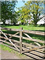 Field and gate, Eglinton