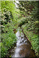 SZ1596 : Stream at Sopley by Peter Facey