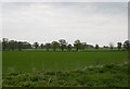 Flat countryside north-east of Pyrton