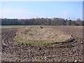 Remains of Colveston Church